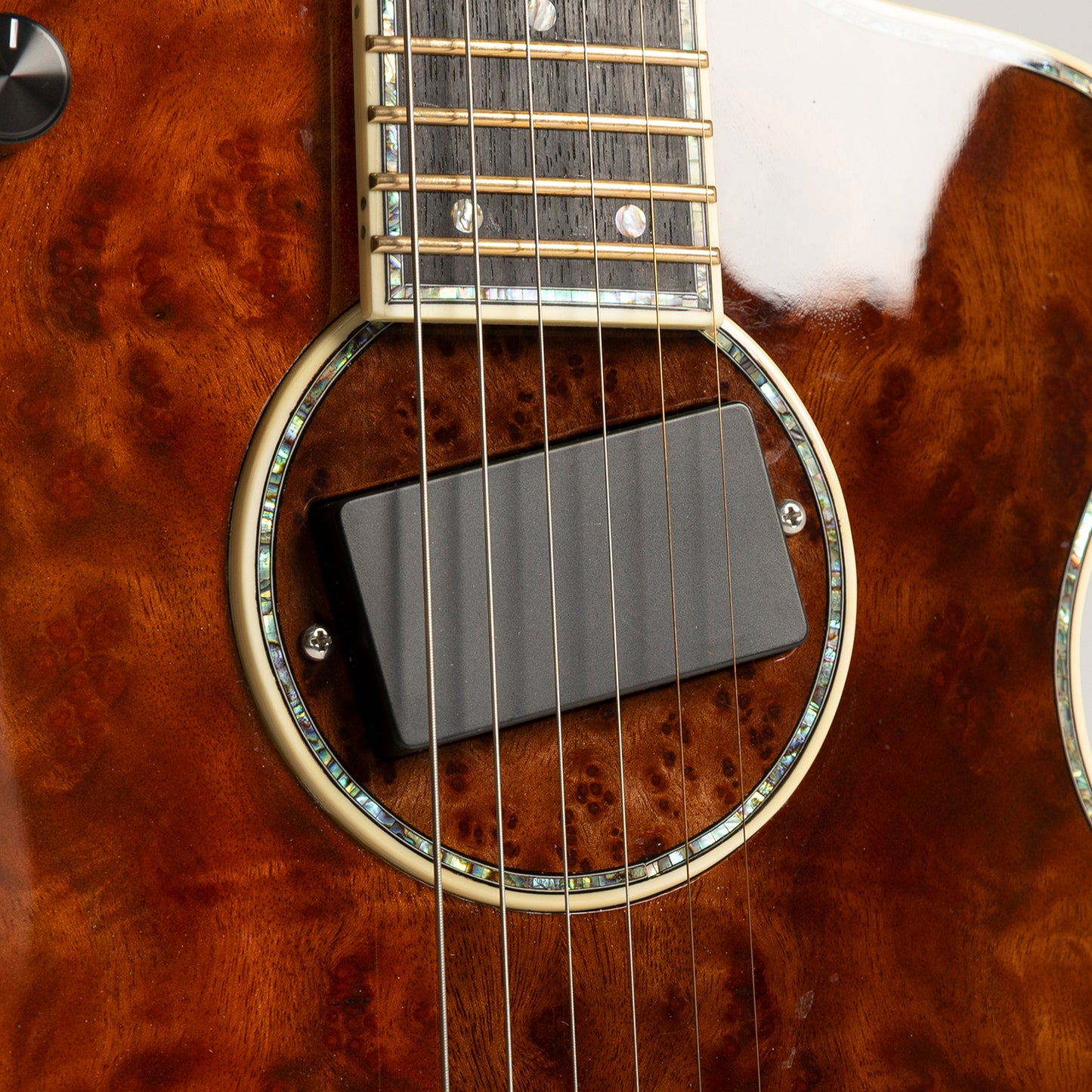 Rick Turner Model 1 Featherweight CP Deluxe Custom in Camphor Burl