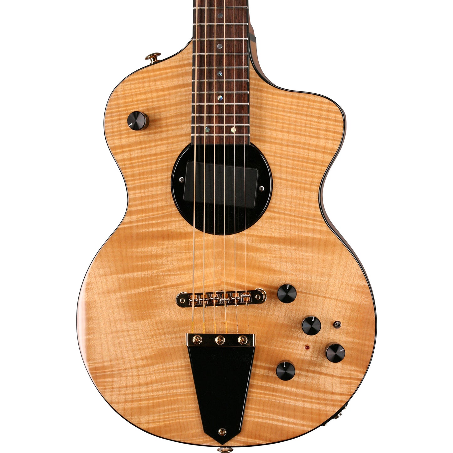 Rick Turner Model 1