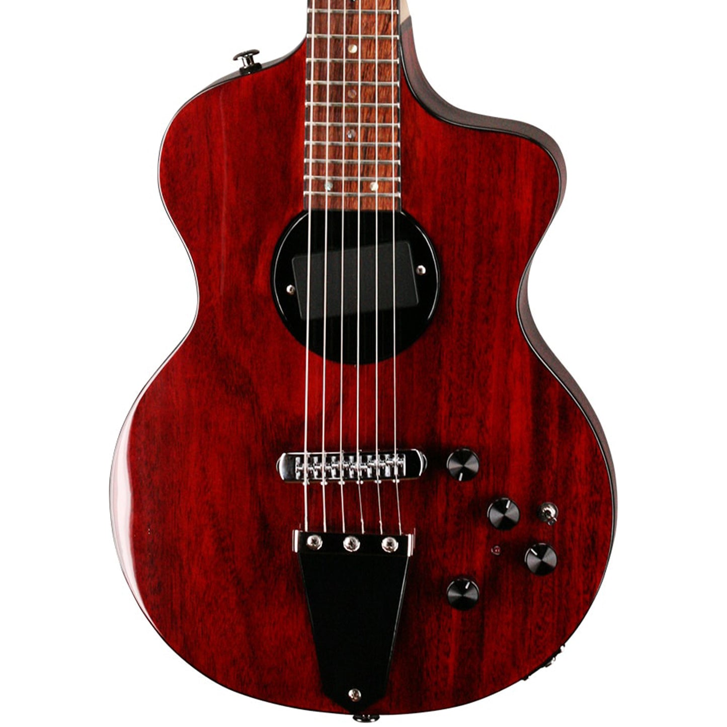 Rick Turner Model 1