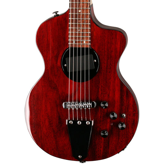 Rick Turner Model 1