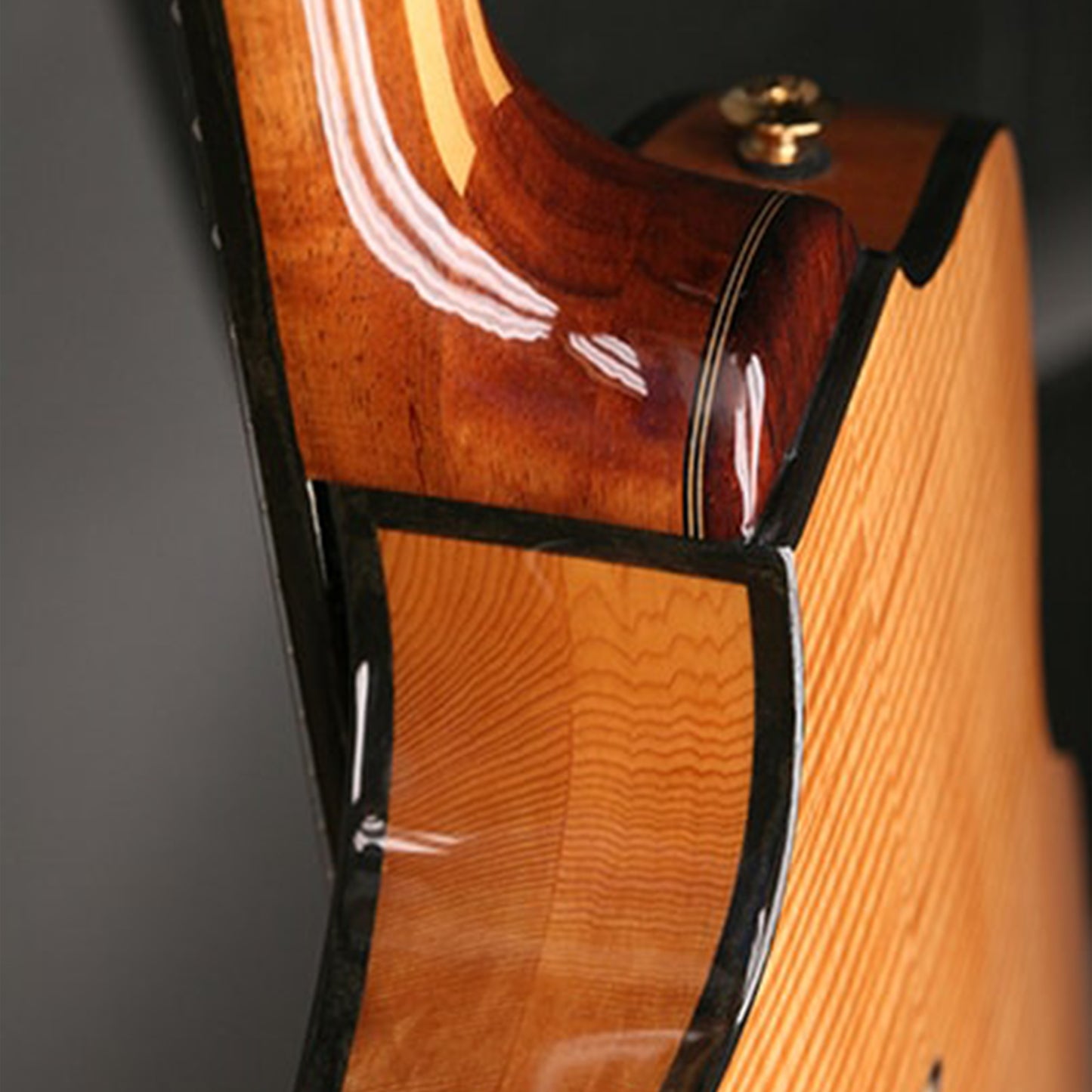 Rick Turner Model 1