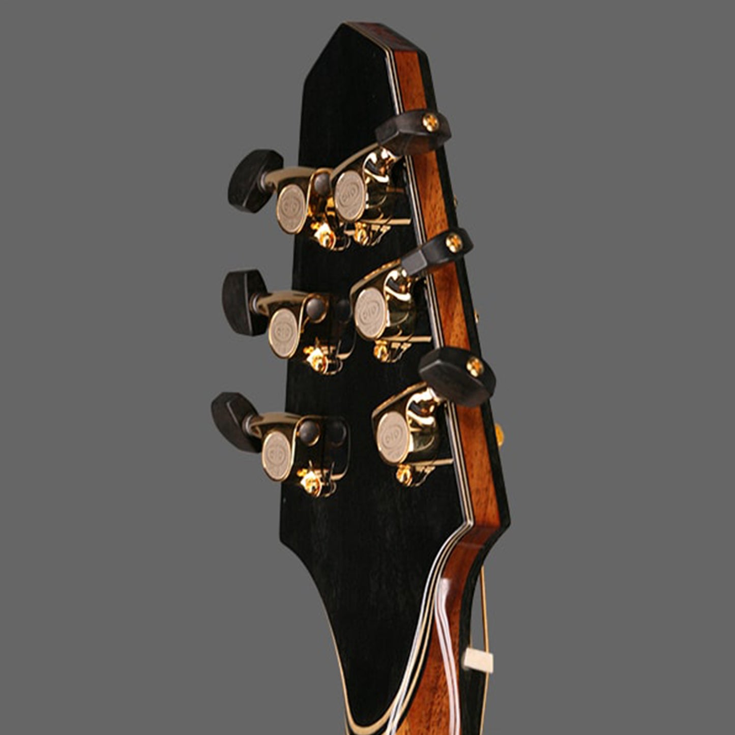 Rick Turner Model 1