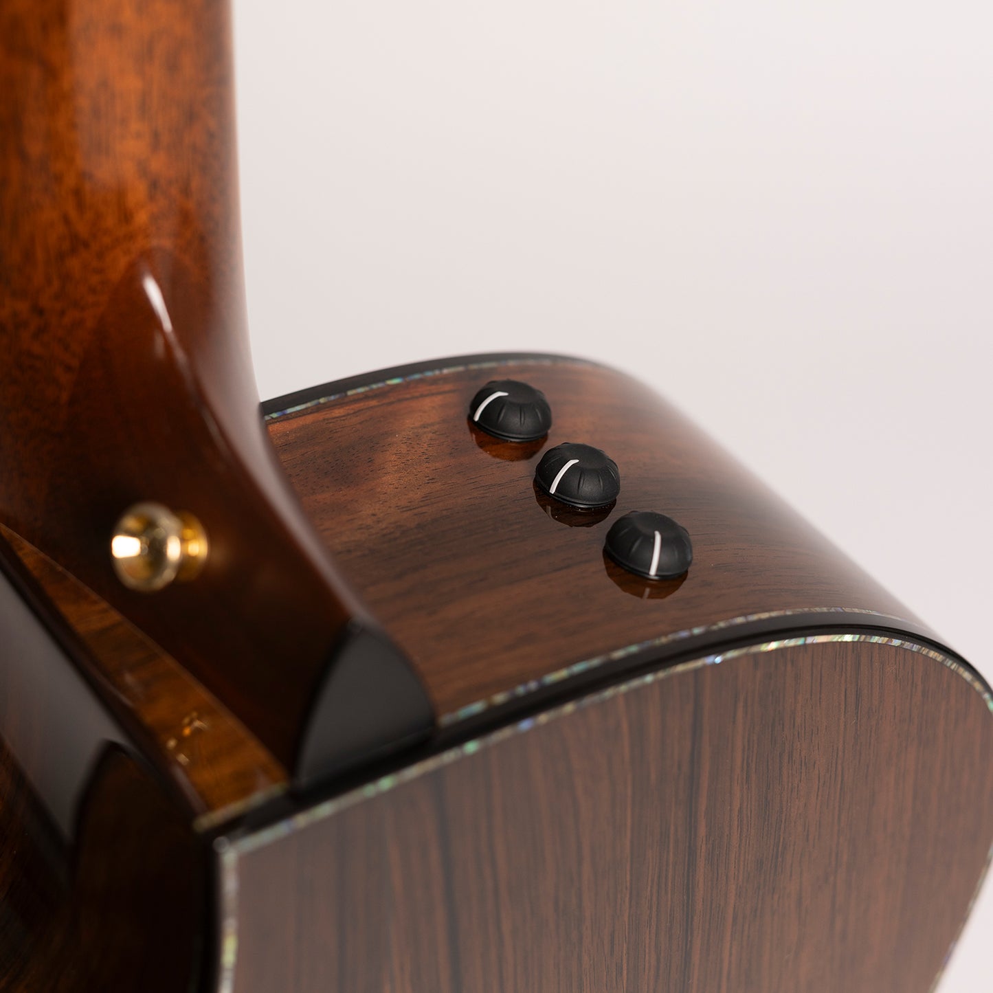 Taylor PS14ce Fall Limited Edition in Macassar Ebony & Sinker Redwood