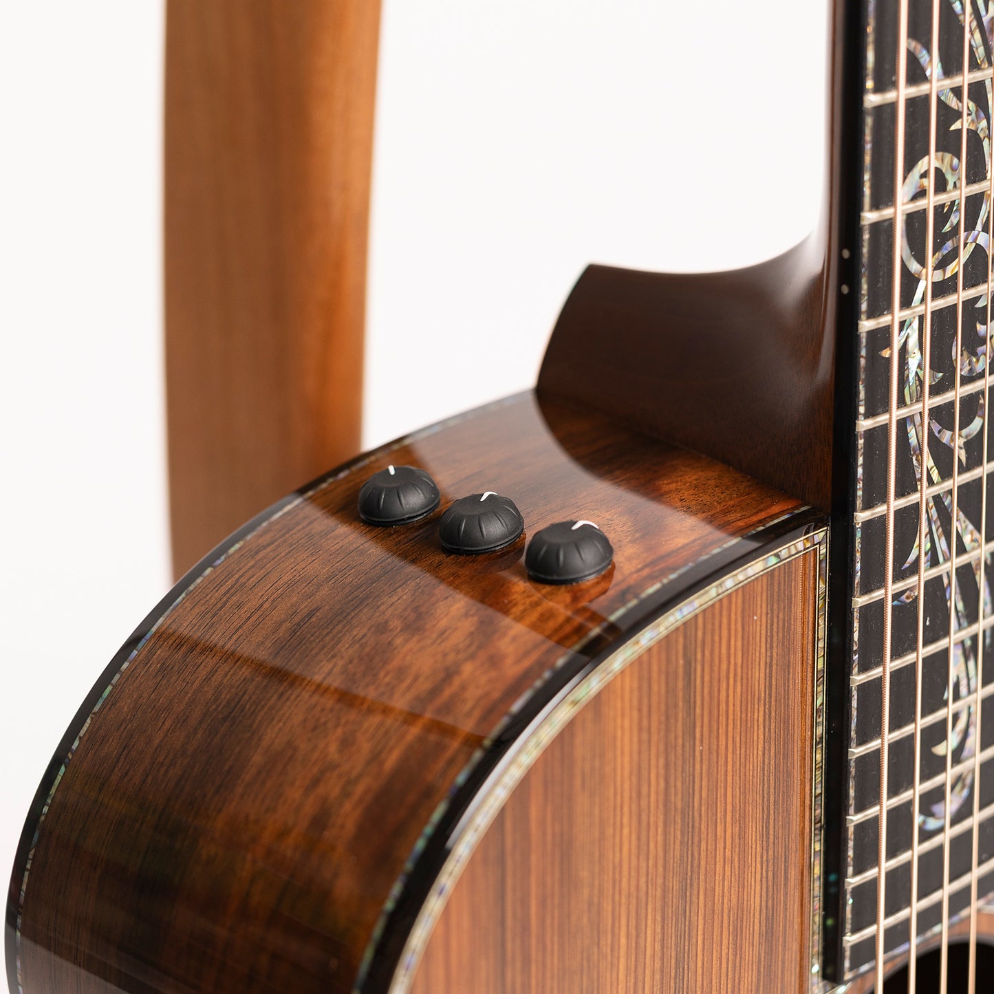 Taylor PS14ce Fall Limited Edition in Macassar Ebony & Sinker Redwood