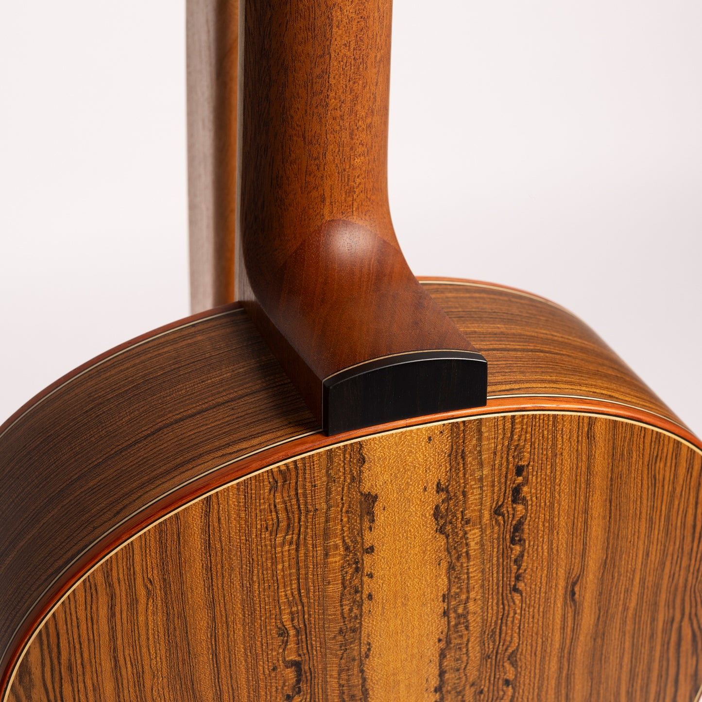 Tornberg JT-OM 12-Fret in Bocote & Master Grade European Spruce