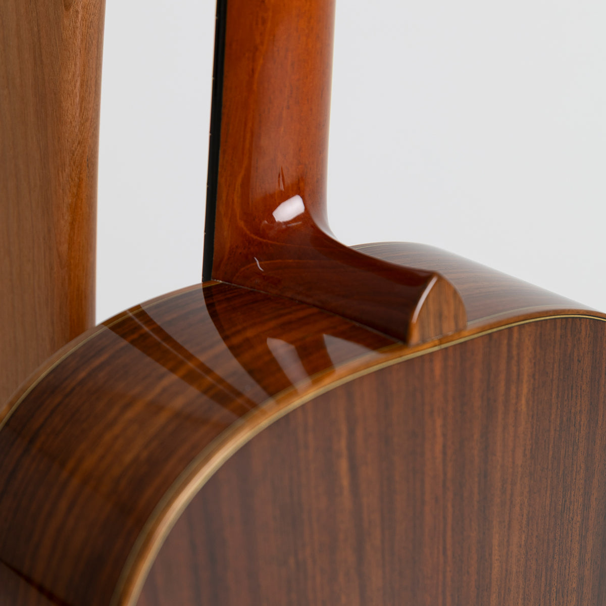 Brook Tamar in Indian Rosewood & European Spruce