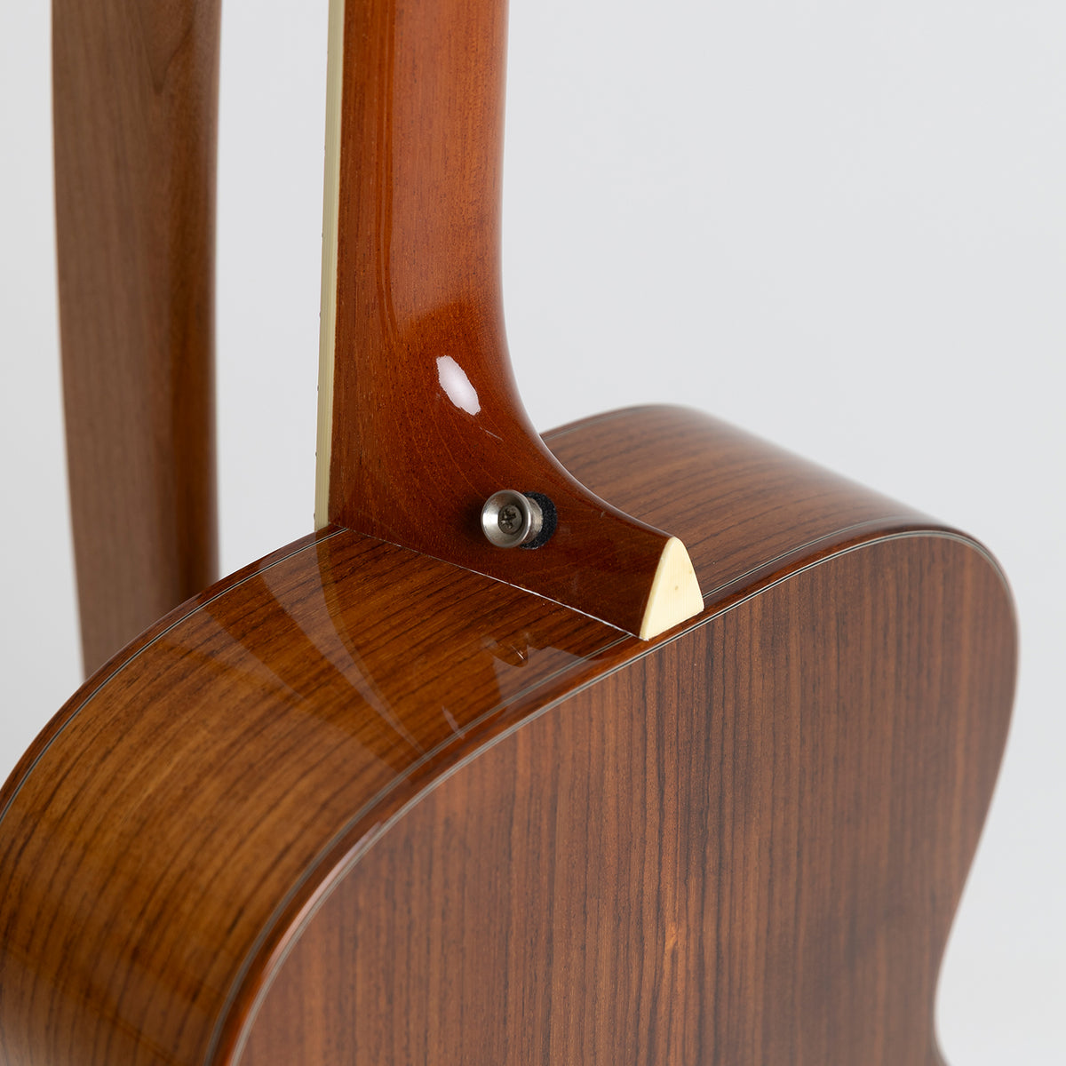 Larivee Artist Series OM-09 in Indian Rosewood & Sitka Spruce