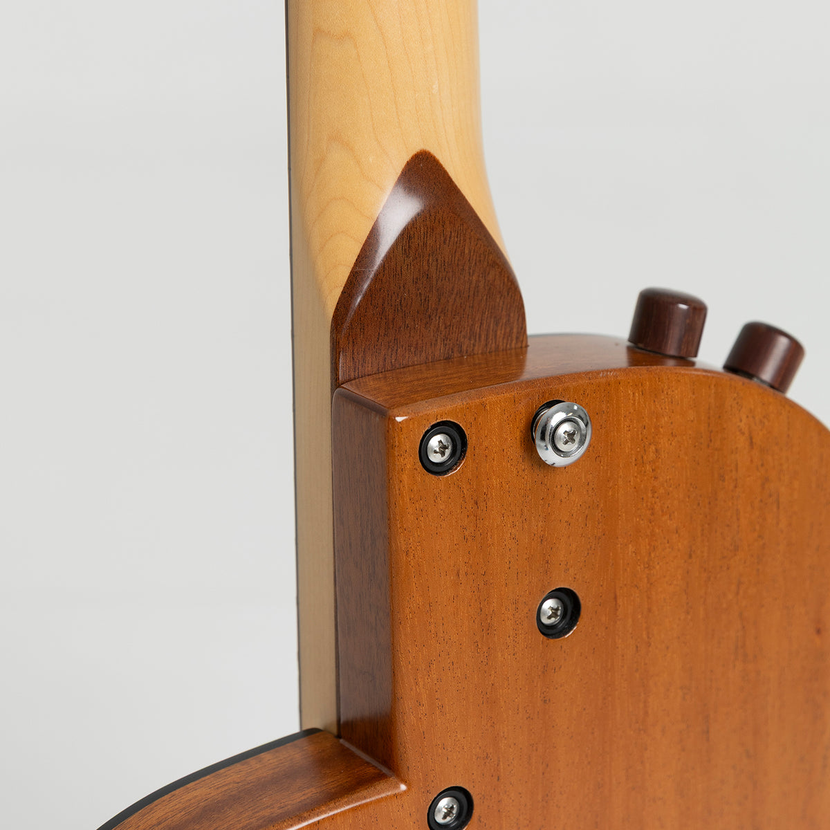 Rick Turner Standard Renaissance Bass