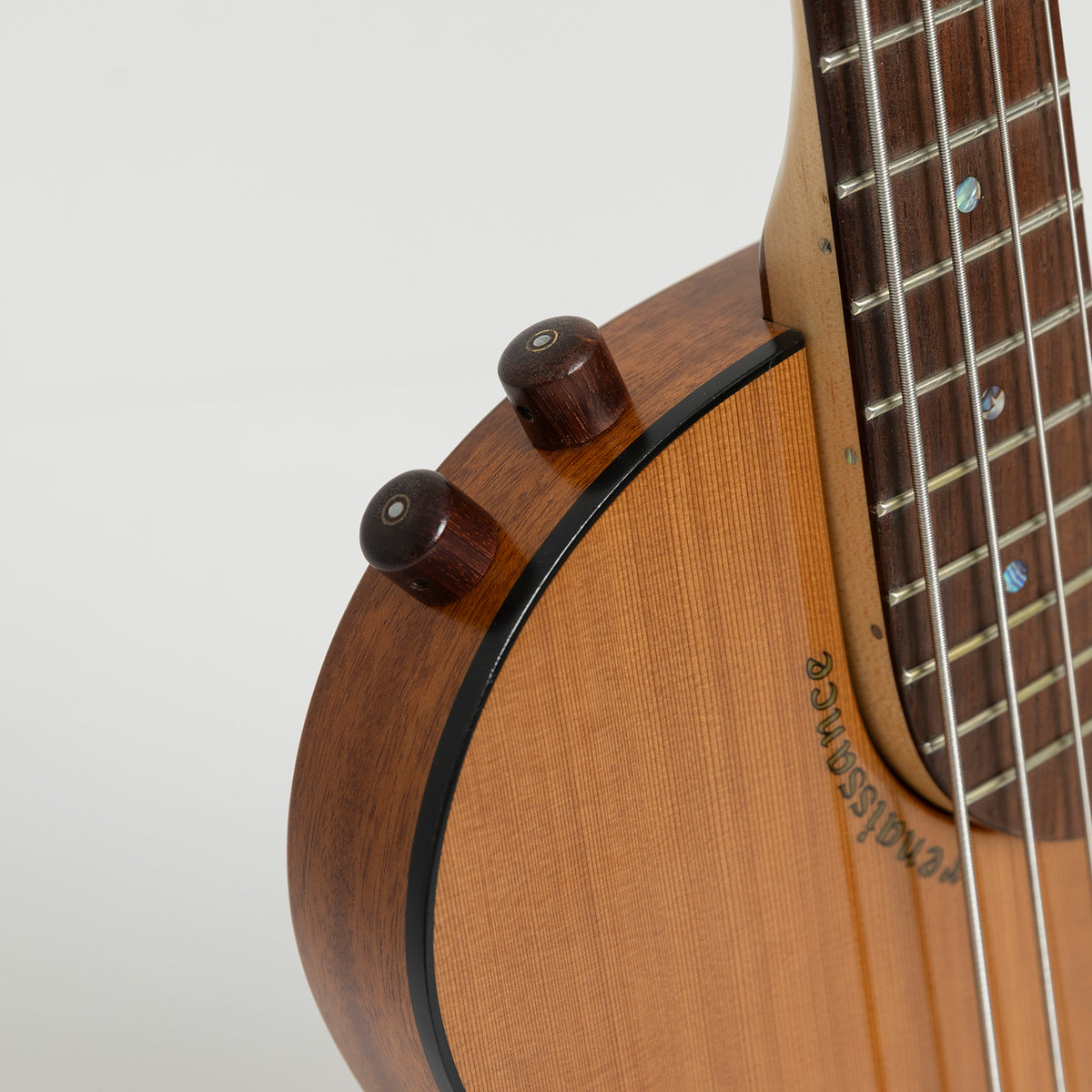 Rick Turner Standard Renaissance Bass
