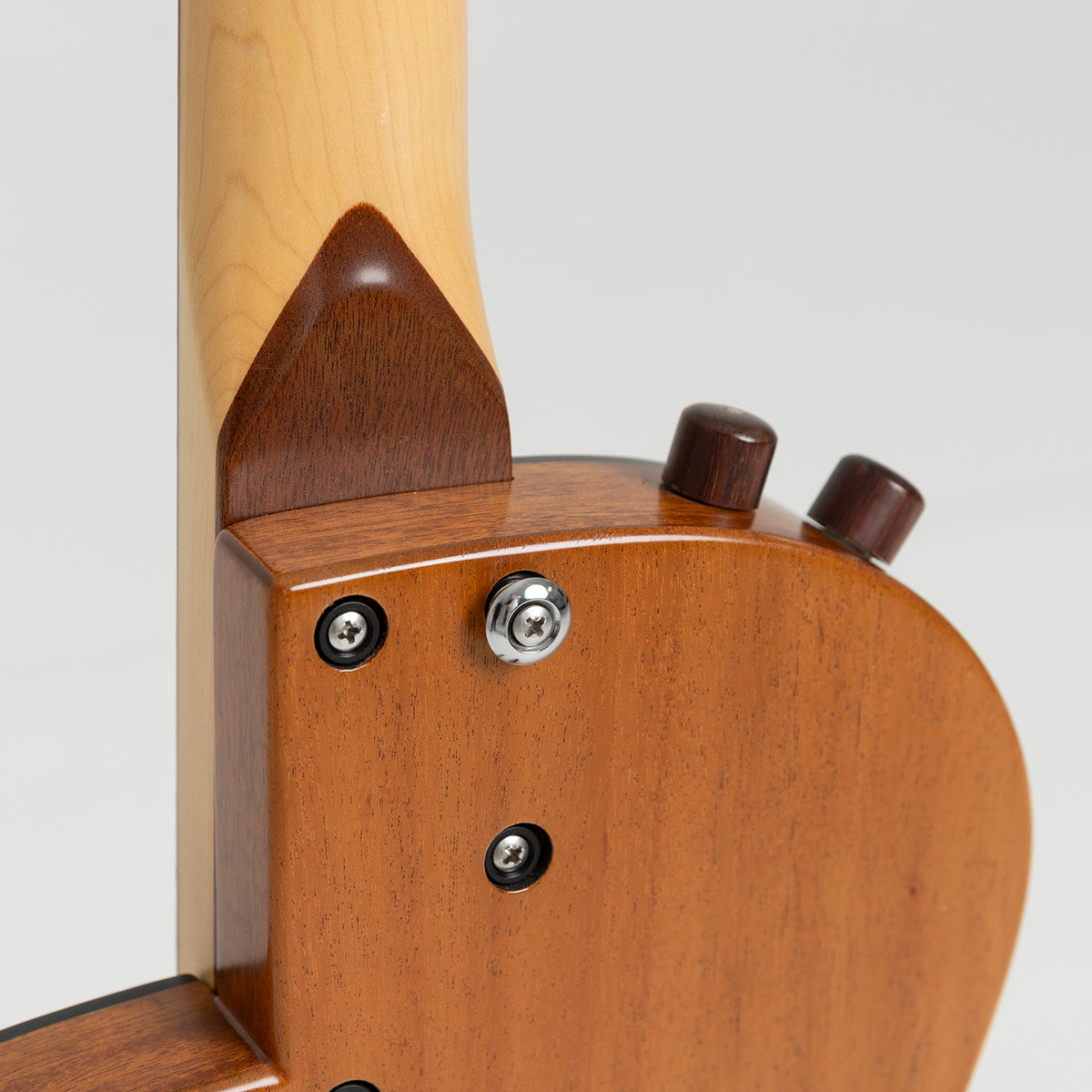 Rick Turner Standard Renaissance Bass