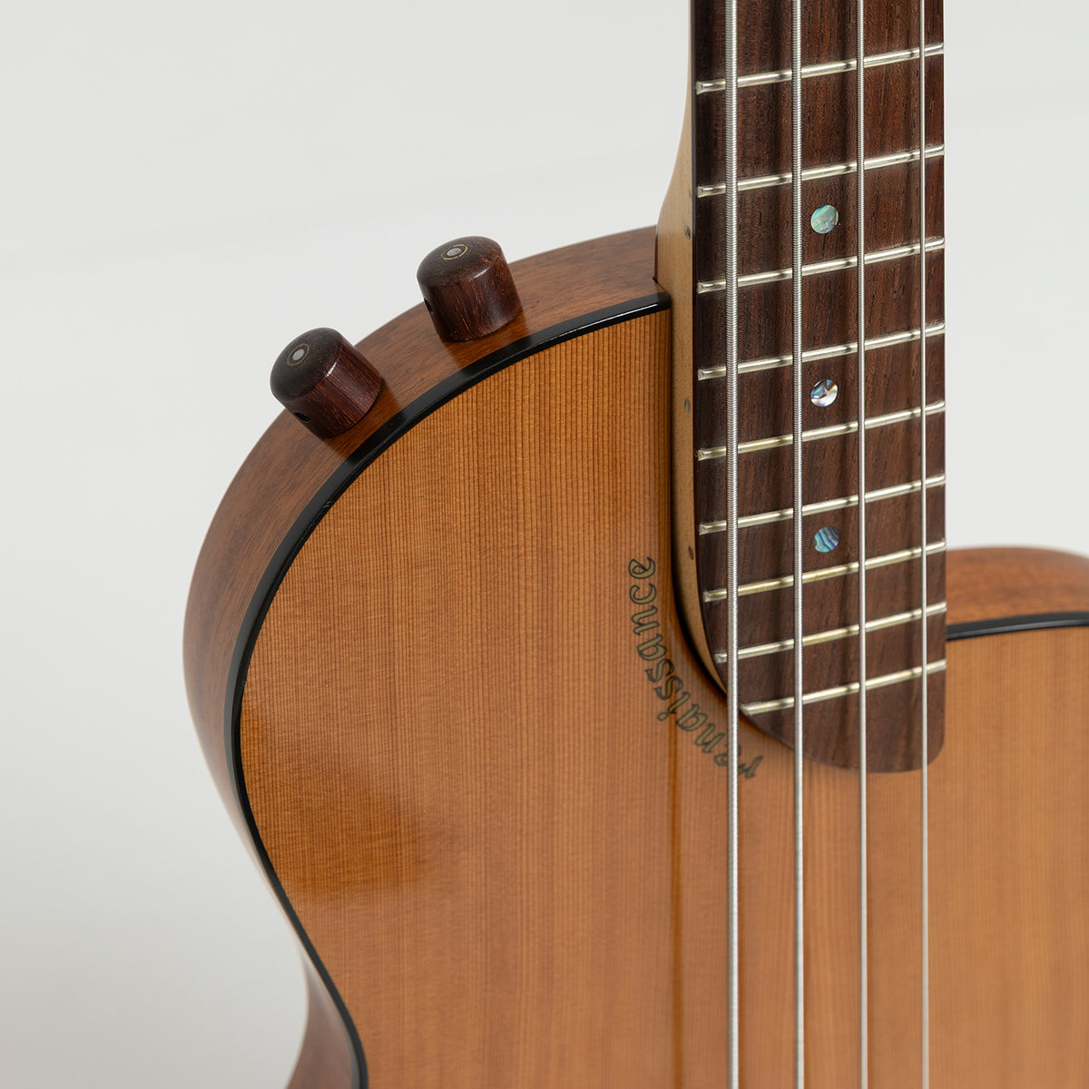 Rick Turner Standard Renaissance Bass