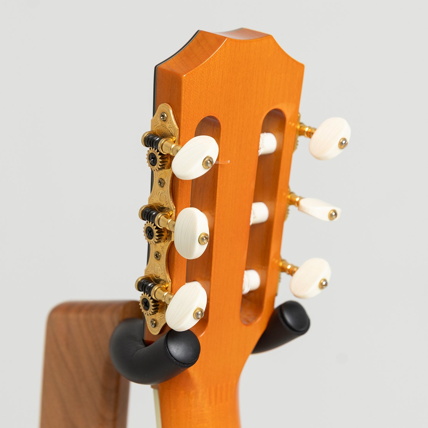 Taylor GA Custom Nylon Doyle Dykes in Maple & Spruce