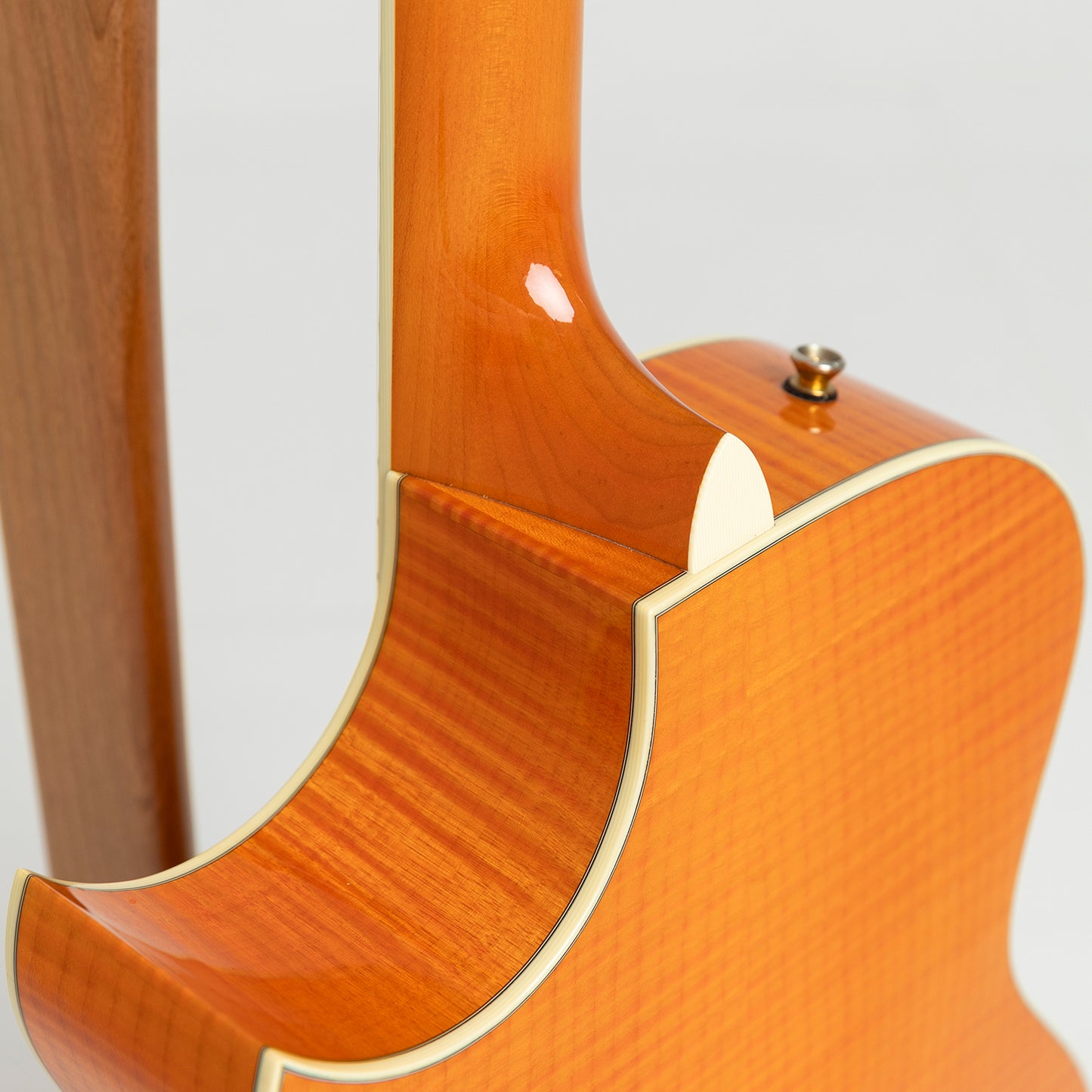 Taylor GA Custom Nylon Doyle Dykes in Maple & Spruce