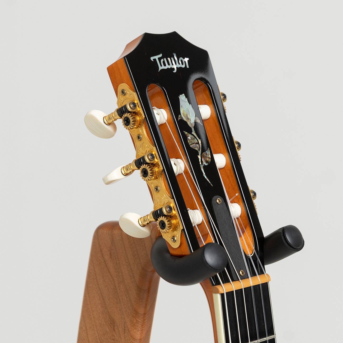 Taylor GA Custom Nylon Doyle Dykes in Maple & Spruce