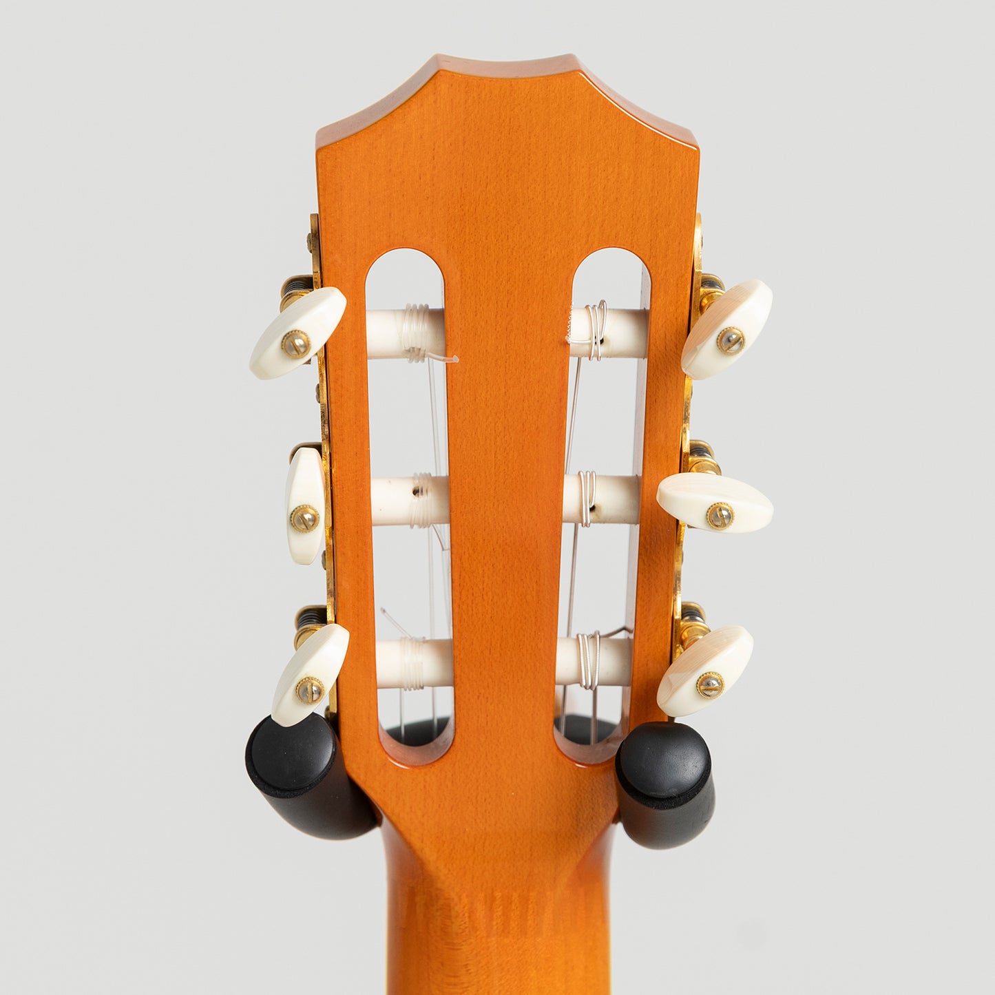 Taylor GA Custom Nylon Doyle Dykes in Maple & Spruce