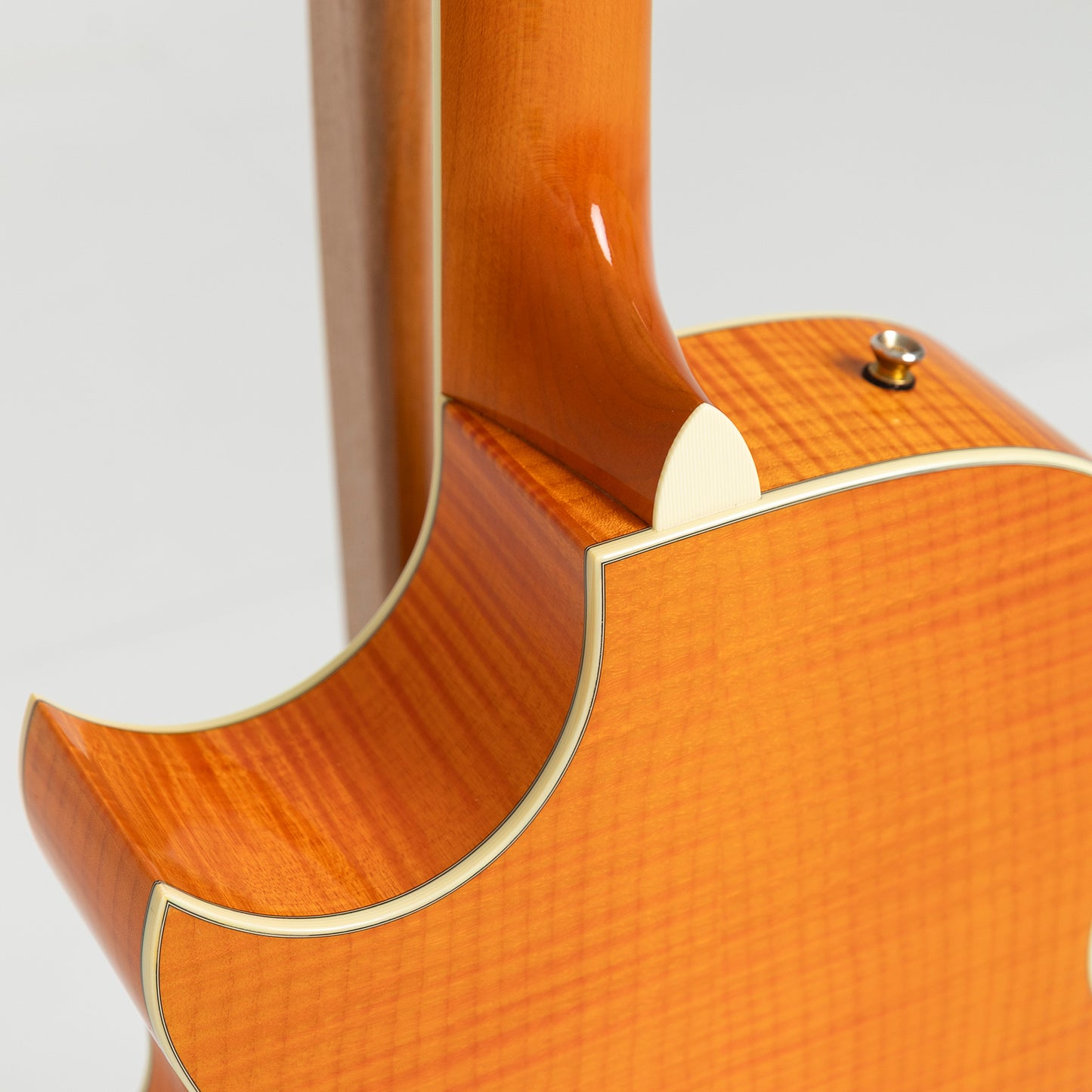 Taylor GA Custom Nylon Doyle Dykes in Maple & Spruce