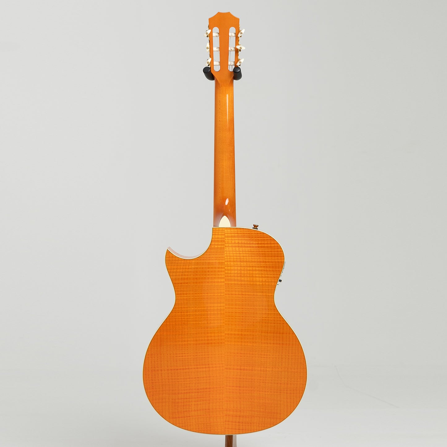 Taylor GA Custom Nylon Doyle Dykes in Maple & Spruce