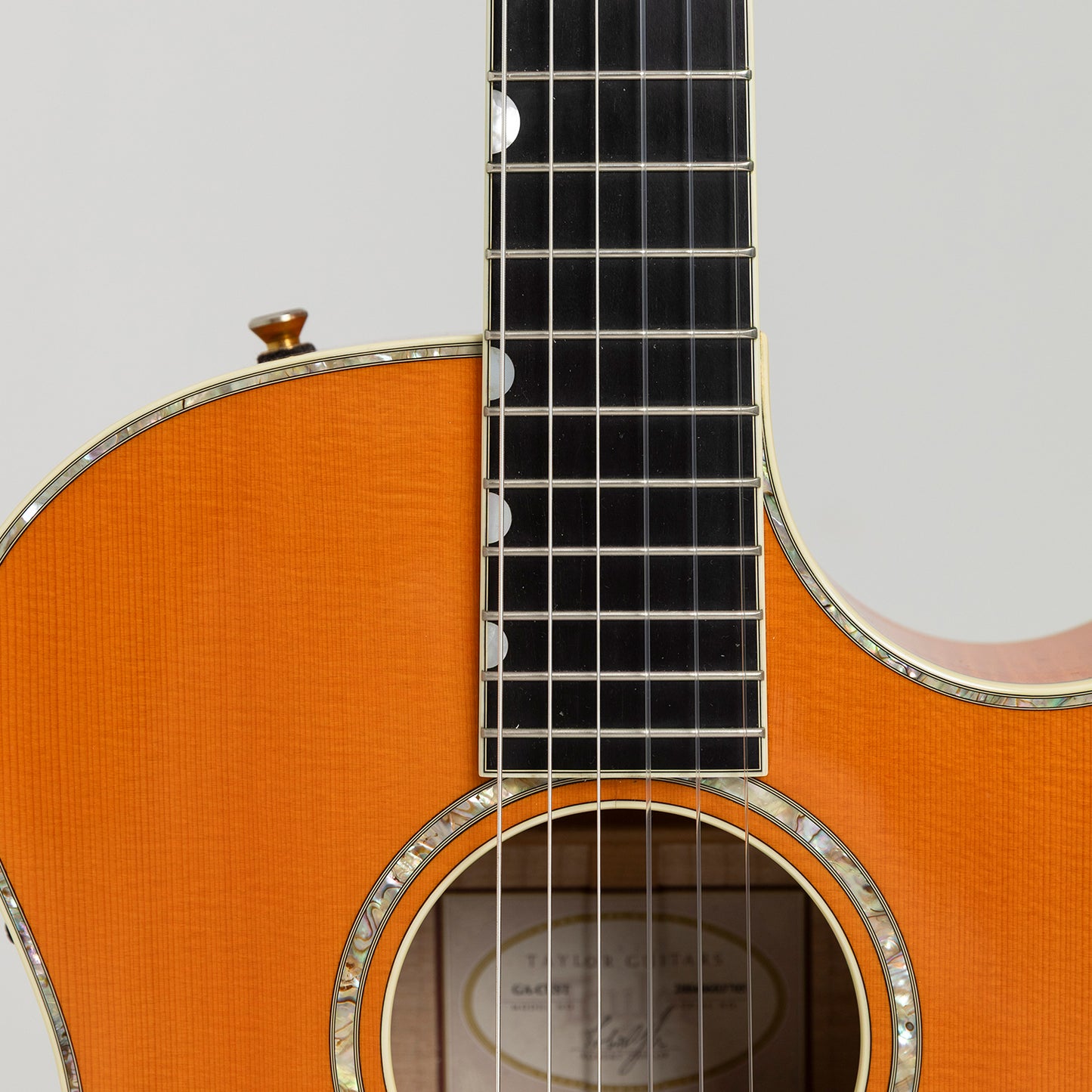 Taylor GA Custom Nylon Doyle Dykes in Maple & Spruce