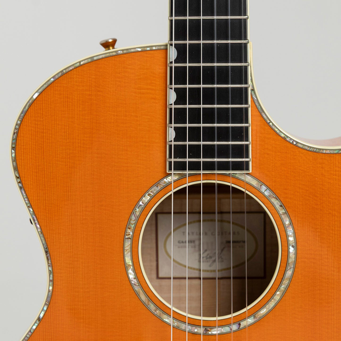 Taylor GA Custom Nylon Doyle Dykes in Maple & Spruce