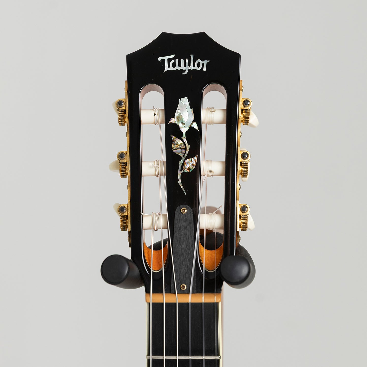 Taylor GA Custom Nylon Doyle Dykes in Maple & Spruce