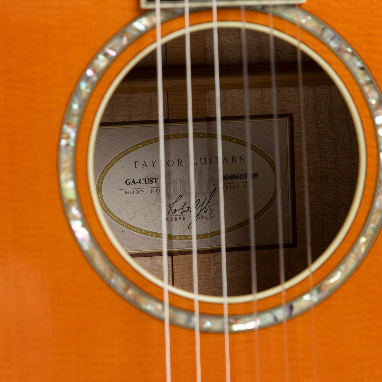 Taylor GA Custom Nylon Doyle Dykes in Maple & Spruce