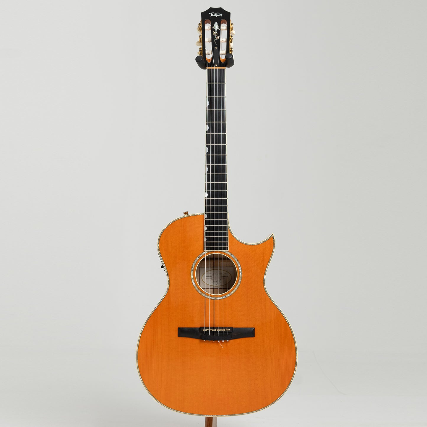 Taylor GA Custom Nylon Doyle Dykes in Maple & Spruce
