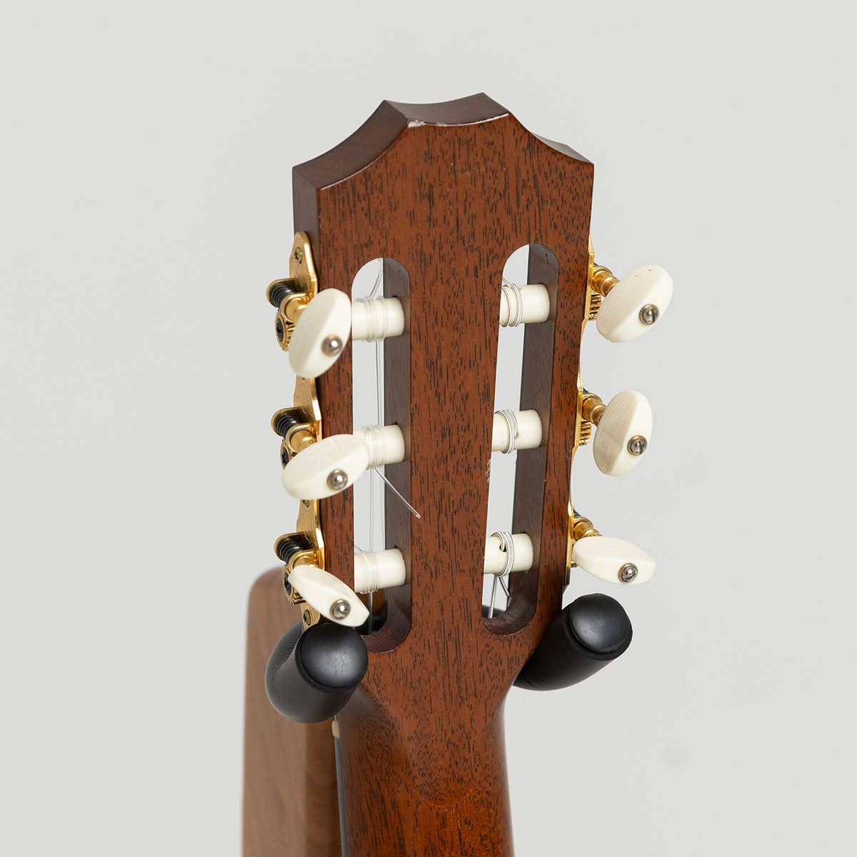 Taylor GA Custom Nylon in Walnut & Spruce