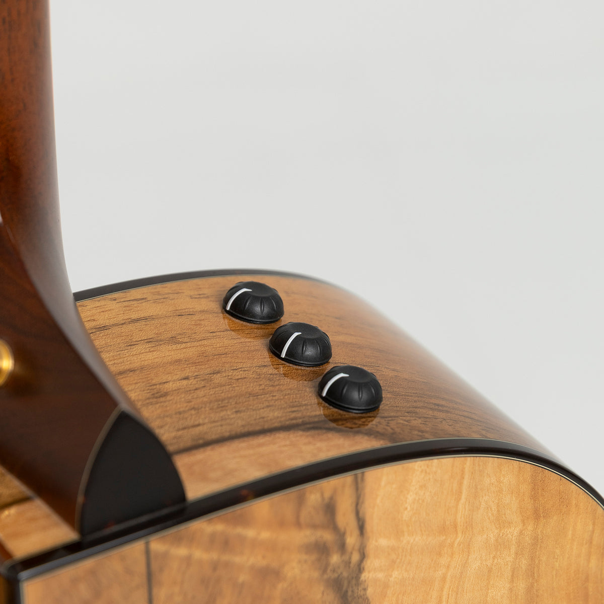 Taylor GA Custom Nylon in Walnut & Spruce