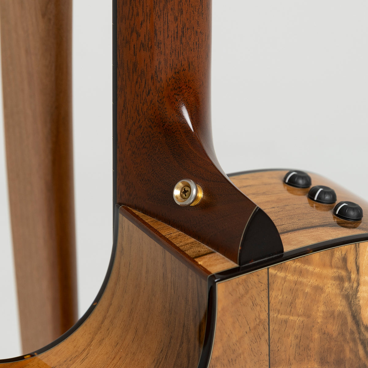 Taylor GA Custom Nylon in Walnut & Spruce