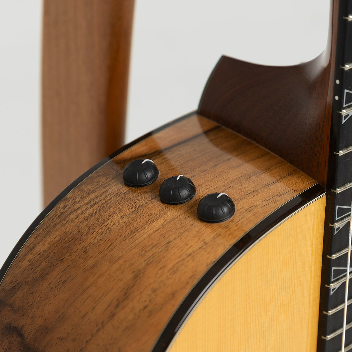 Taylor GA Custom Nylon in Walnut & Spruce