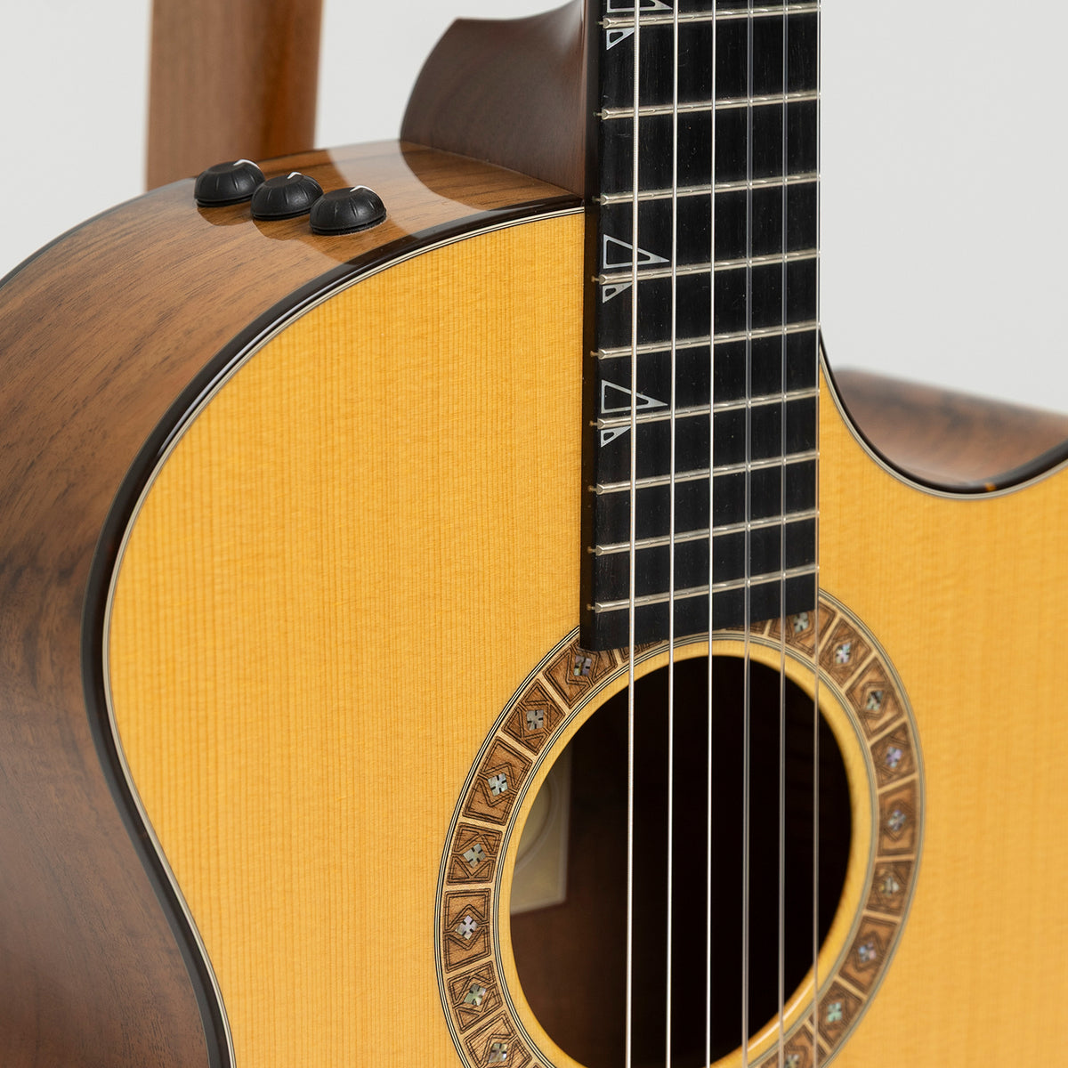 Taylor GA Custom Nylon in Walnut & Spruce