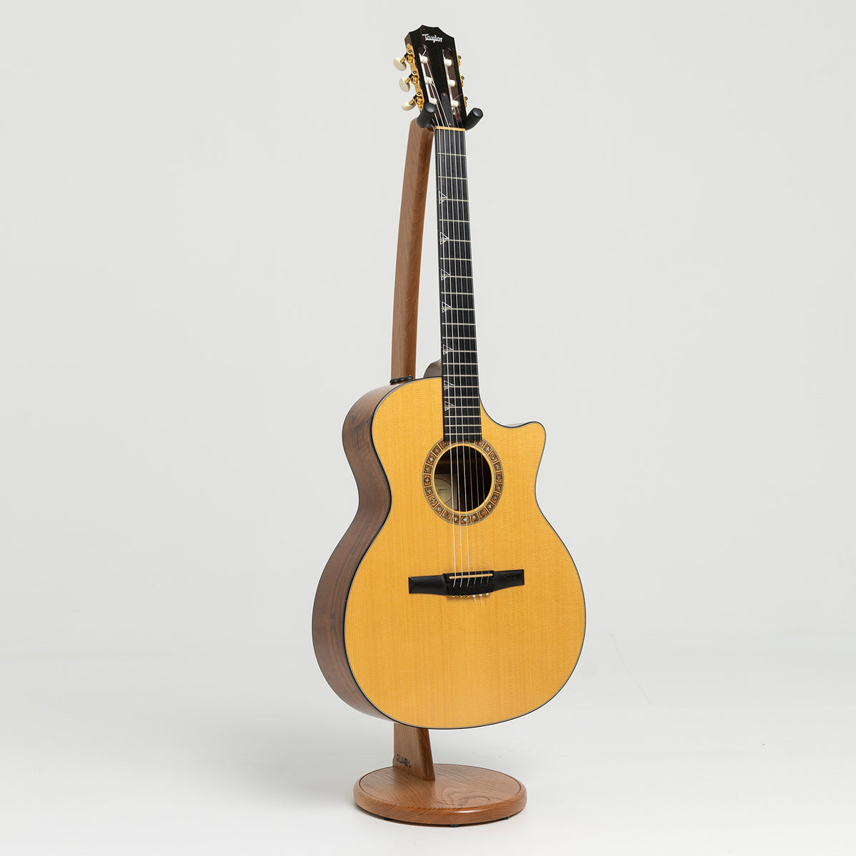 Taylor GA Custom Nylon in Walnut & Spruce