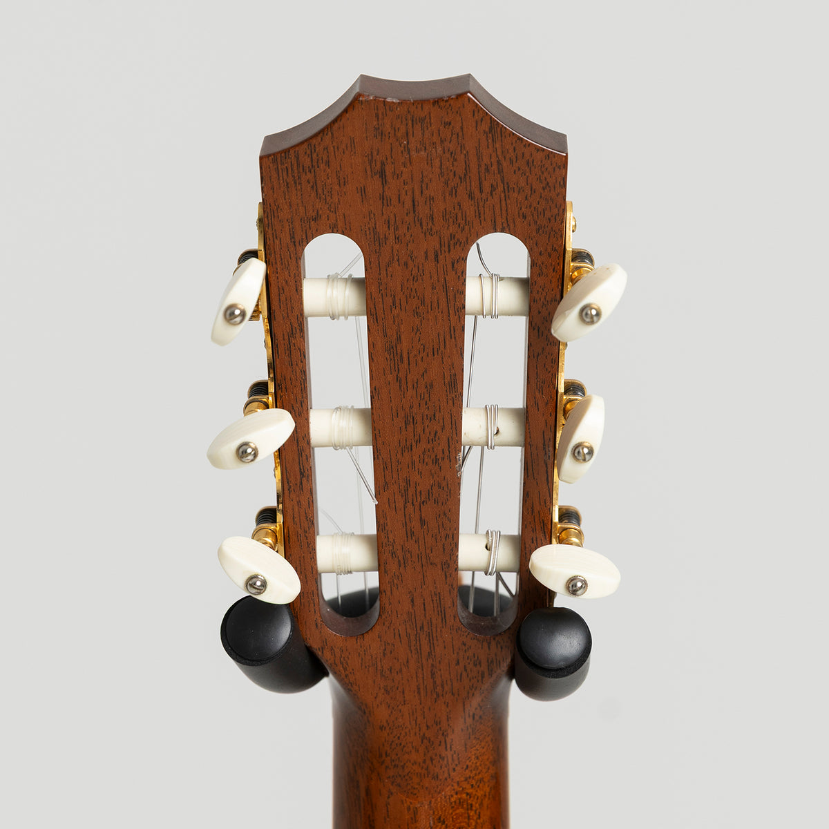 Taylor GA Custom Nylon in Walnut & Spruce
