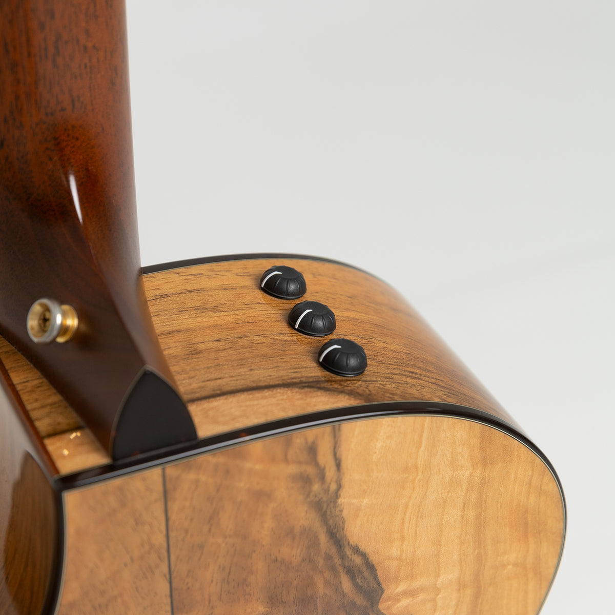 Taylor GA Custom Nylon in Walnut & Spruce