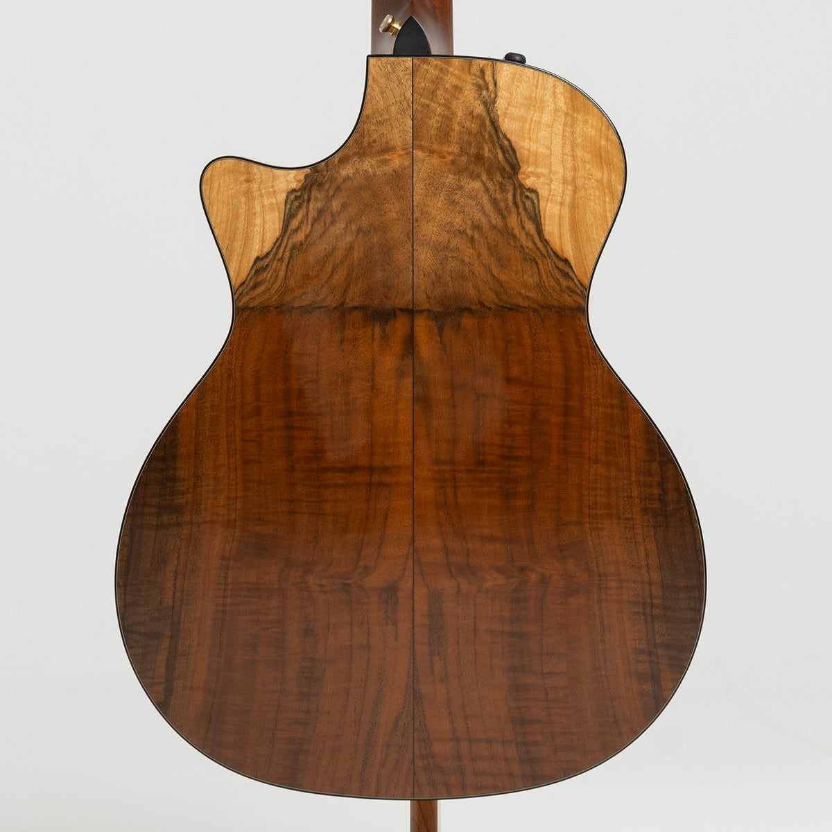 Taylor GA Custom Nylon in Walnut & Spruce