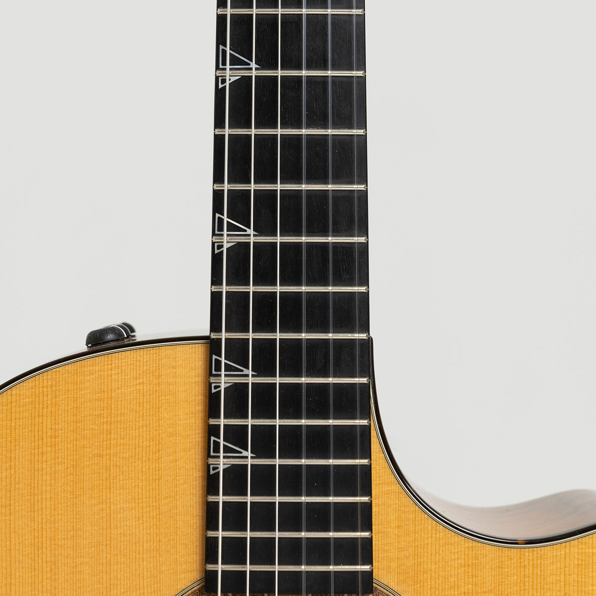 Taylor GA Custom Nylon in Walnut & Spruce