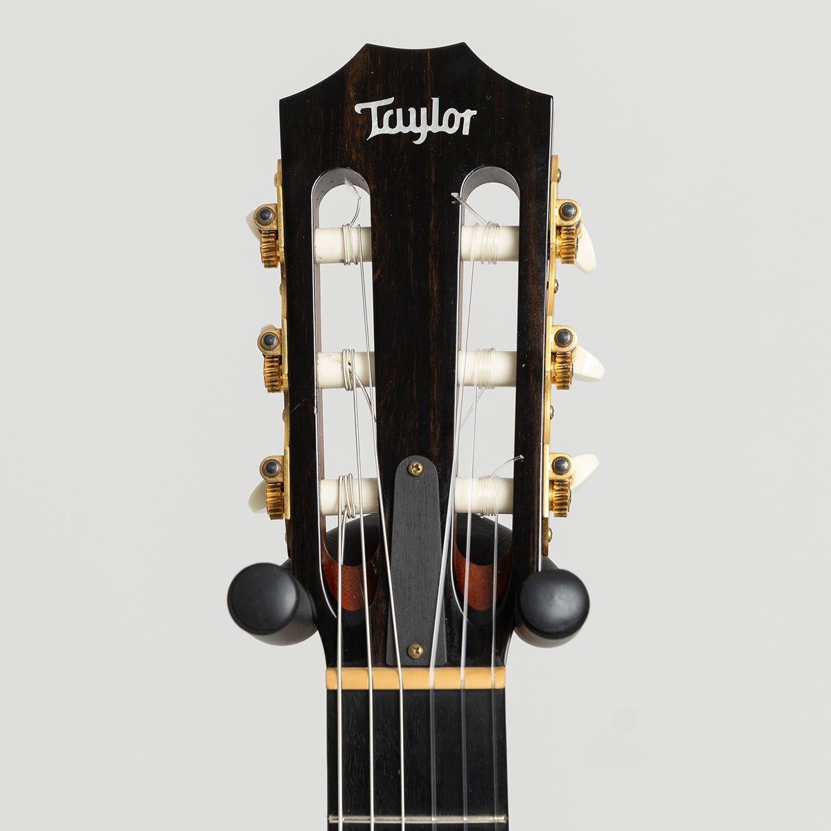 Taylor GA Custom Nylon in Walnut & Spruce