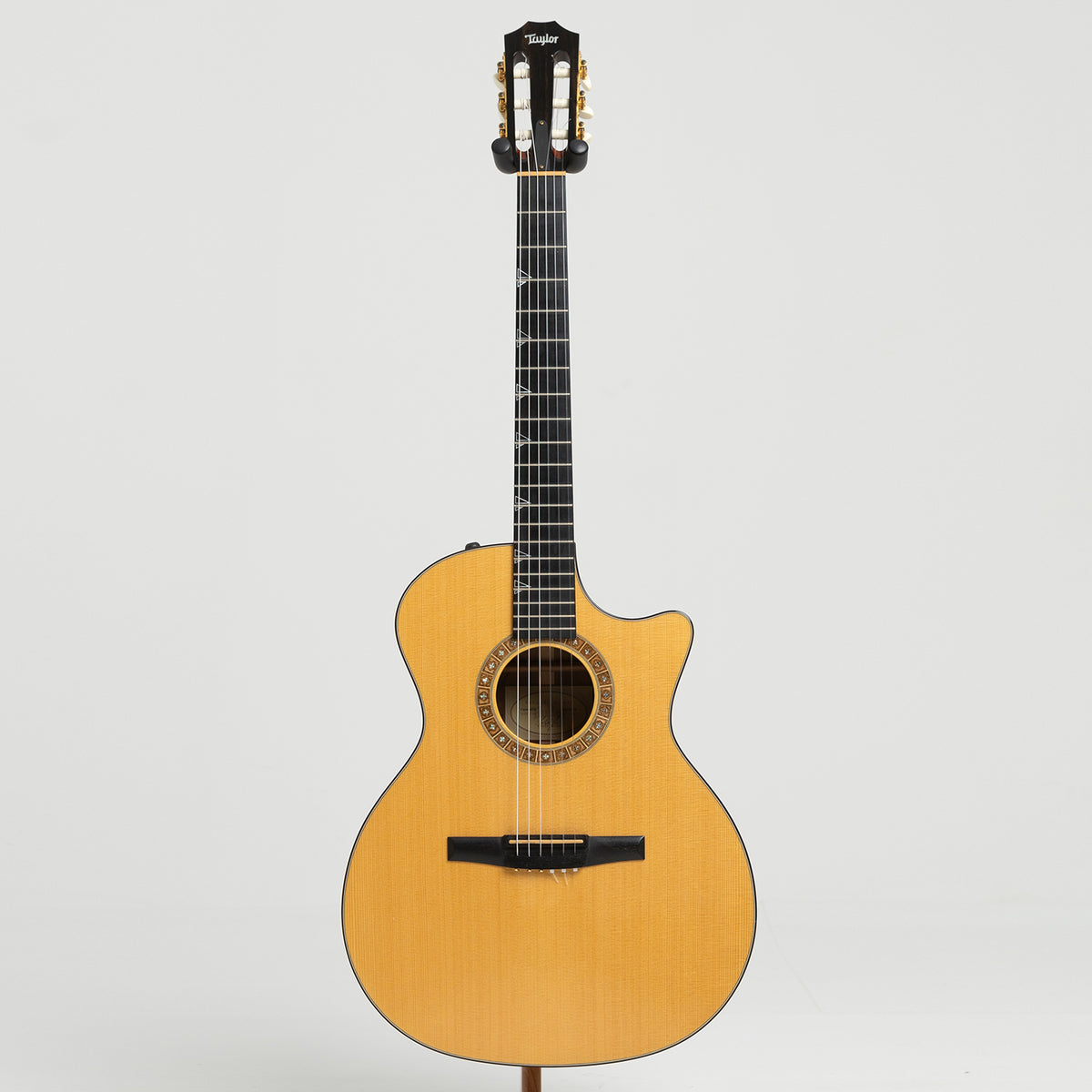 Taylor GA Custom Nylon in Walnut & Spruce