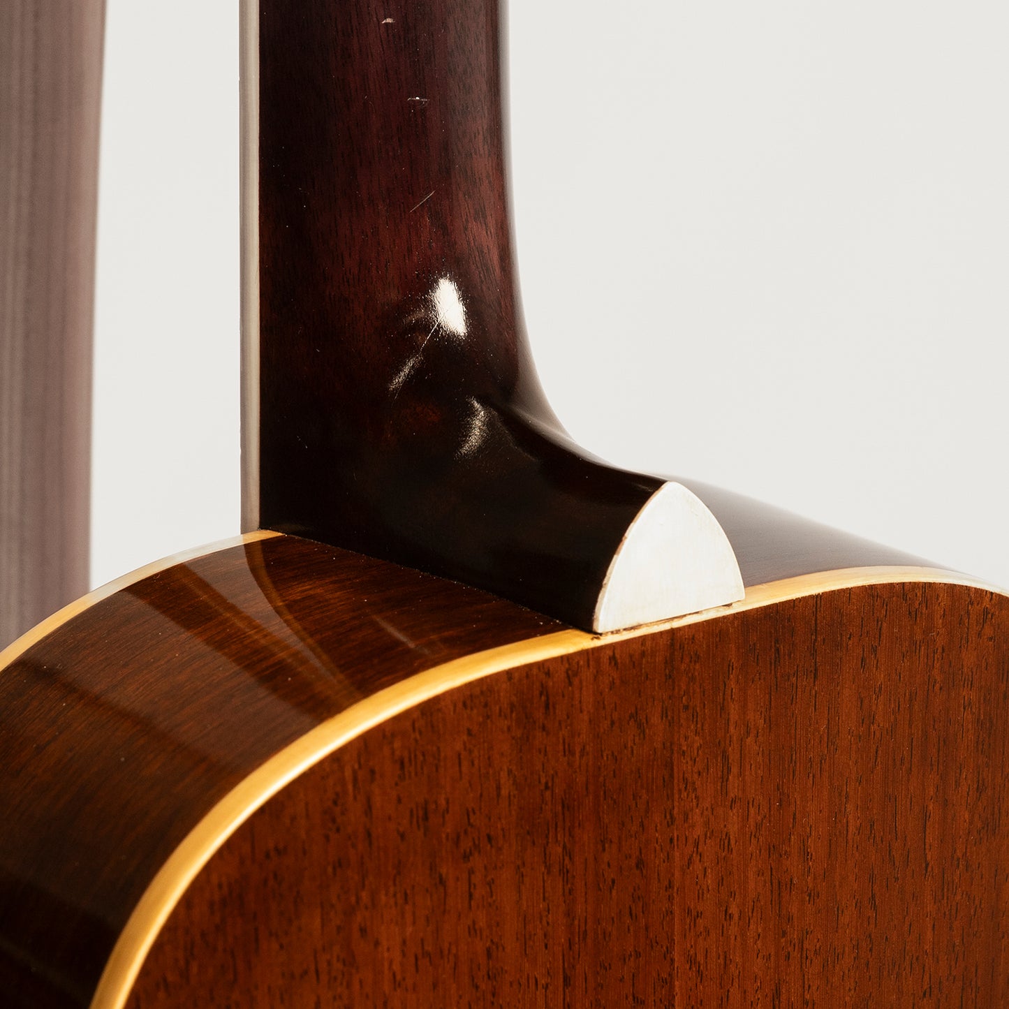 Wandering Boy Regal Flower in Honduran Mahogany & Sitka Spruce